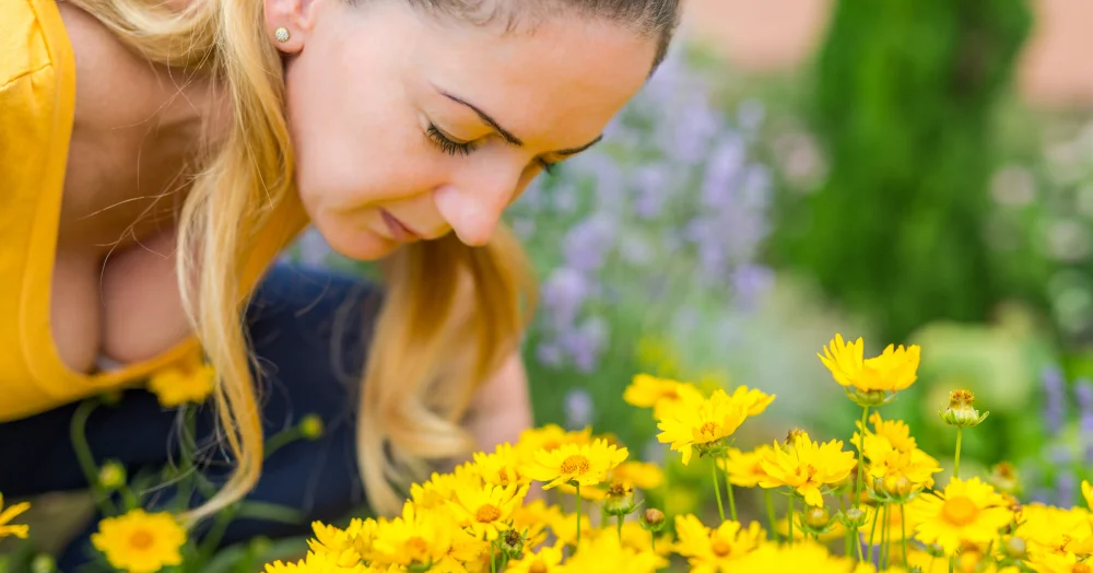 En olfaction avec la sagesse des plantes : une approche unique des huiles essentielles : l’Olfacto-Reliance®