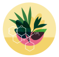 illustration fleurie vocation aroma
